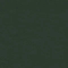 Cuir italien Emerald