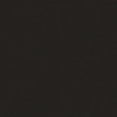 Cuir italien Black