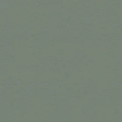 Cuir italien Mint