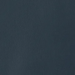 Velours Bleu