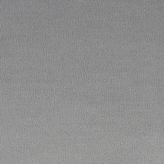 Velours Gris clair