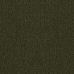 Velours Vert Olive