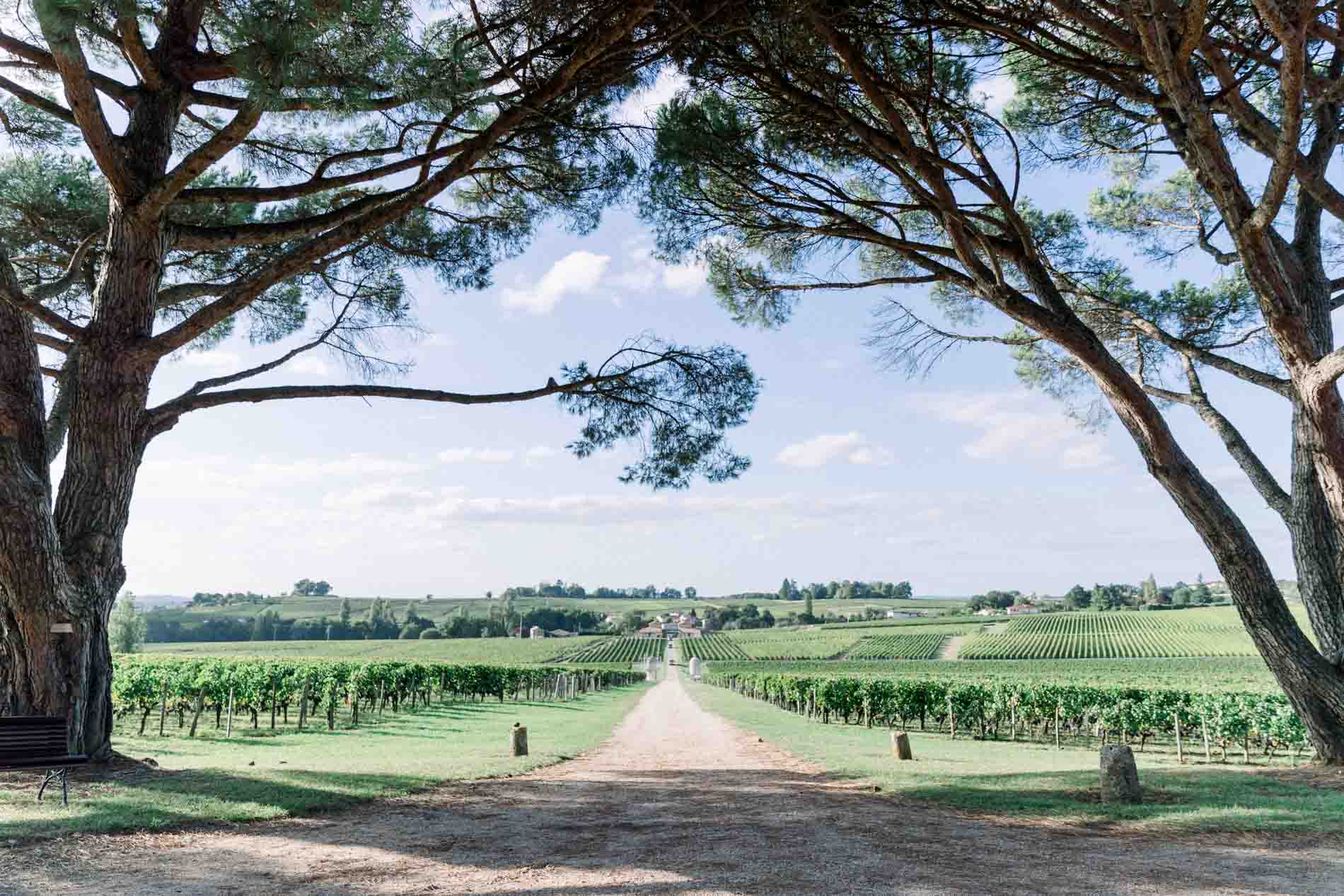 mariage saint emilion