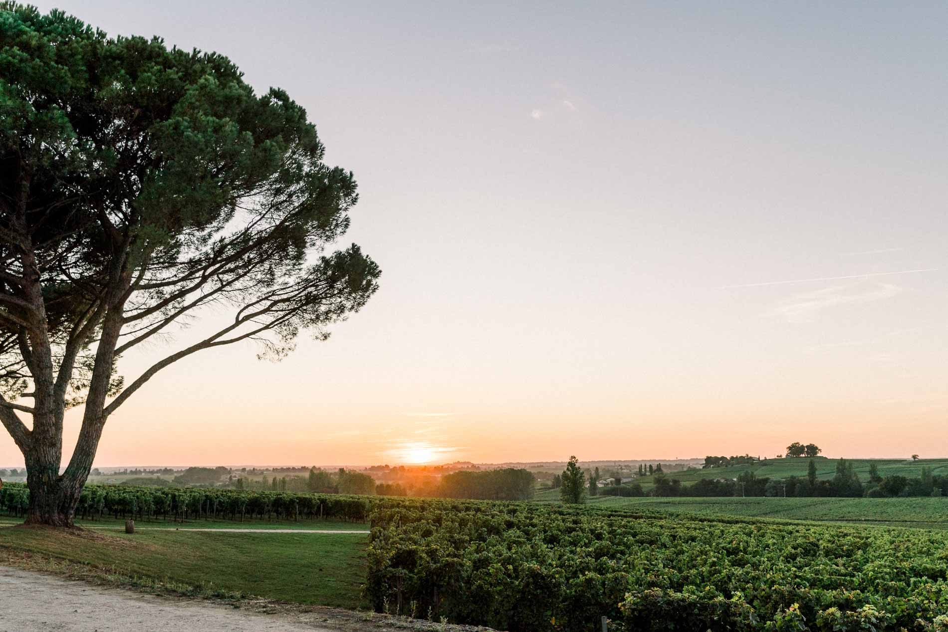 coucher de soleil mariage gironde