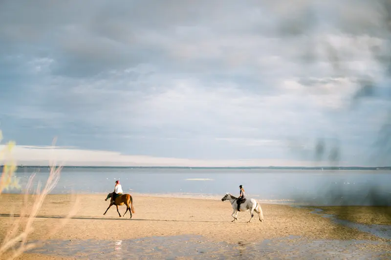 chevaux plage Arcachon