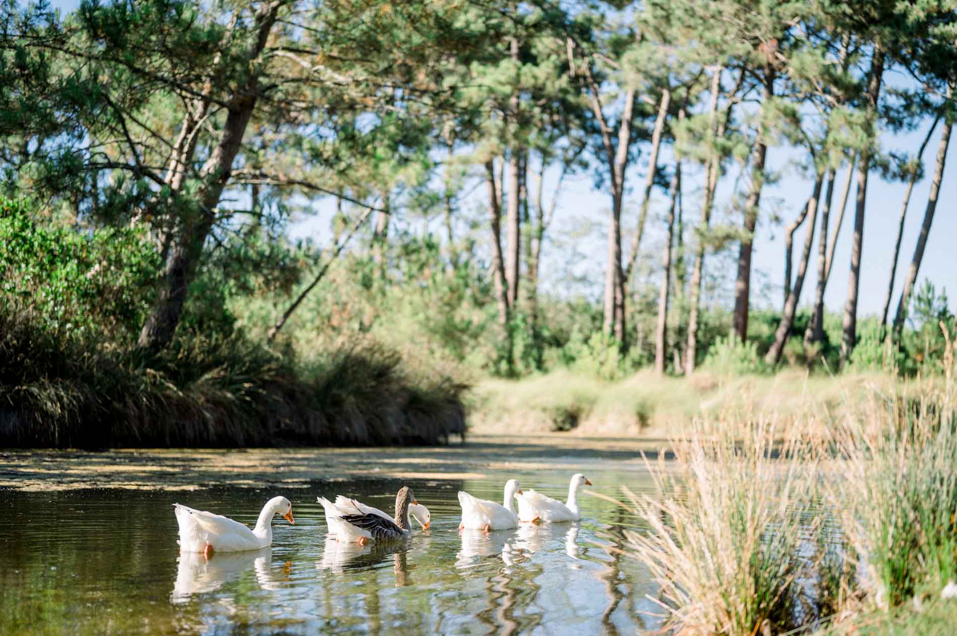 séance engagement bassin arcachon