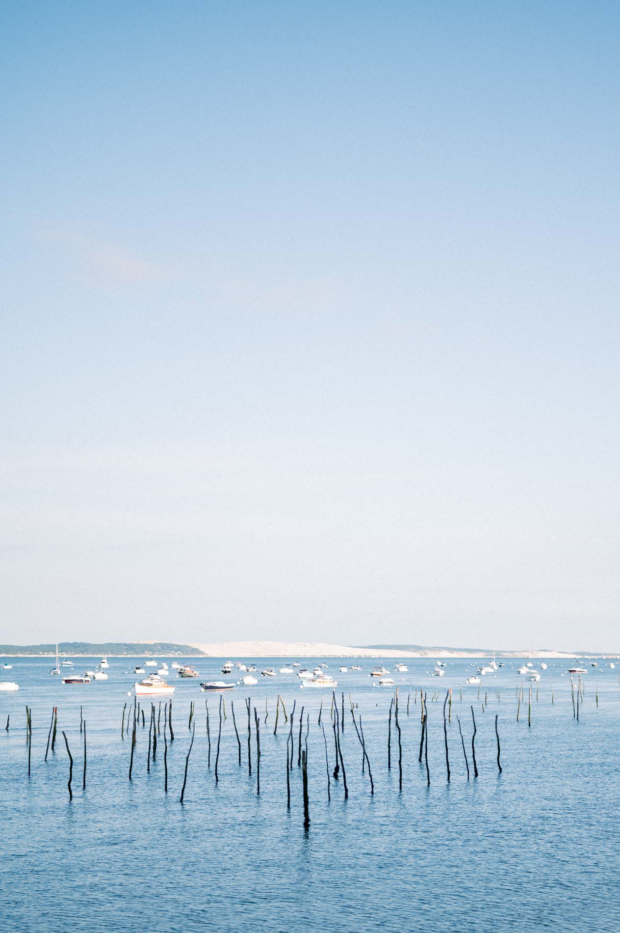 Photographe seance engagement Gironde