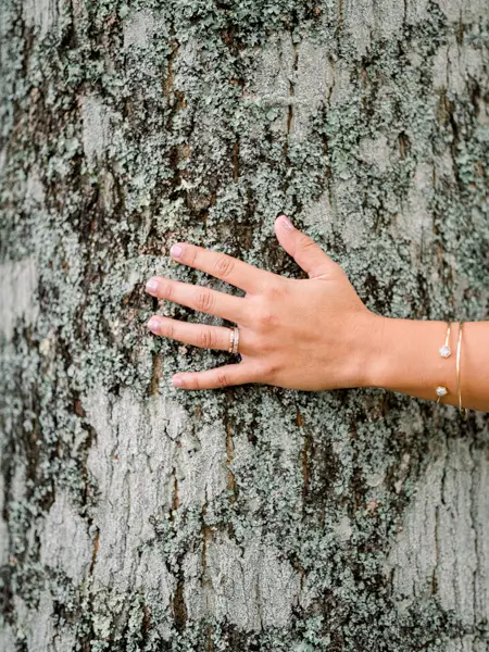 main et alliance sur tronc d'arbre