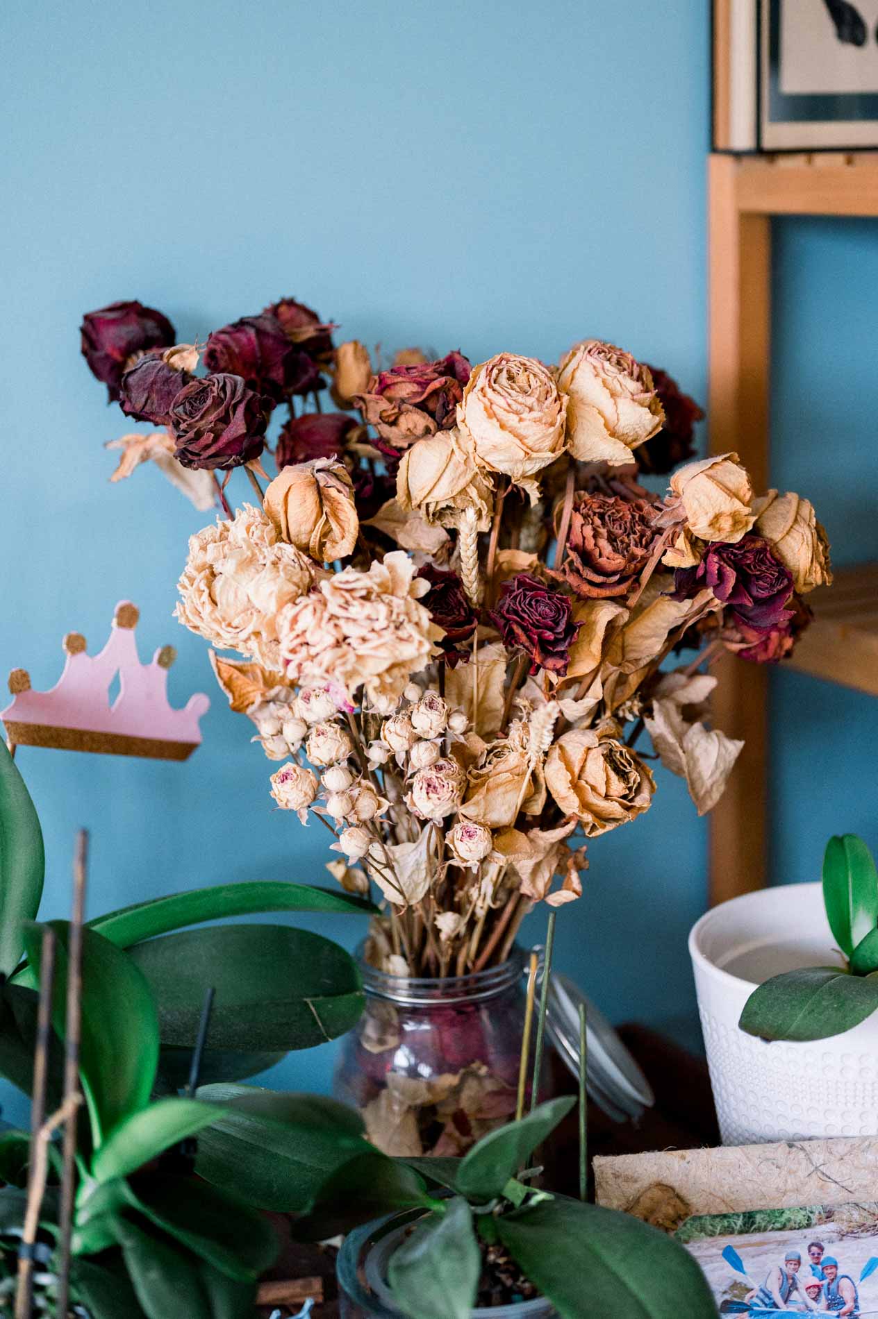 fleurs séchées