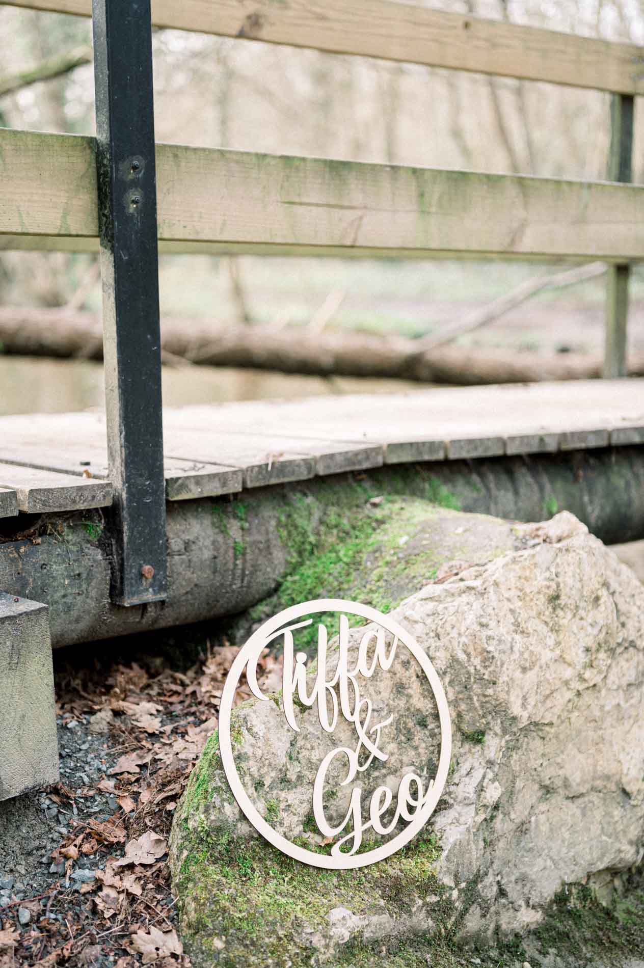 séance photo engagement forêt