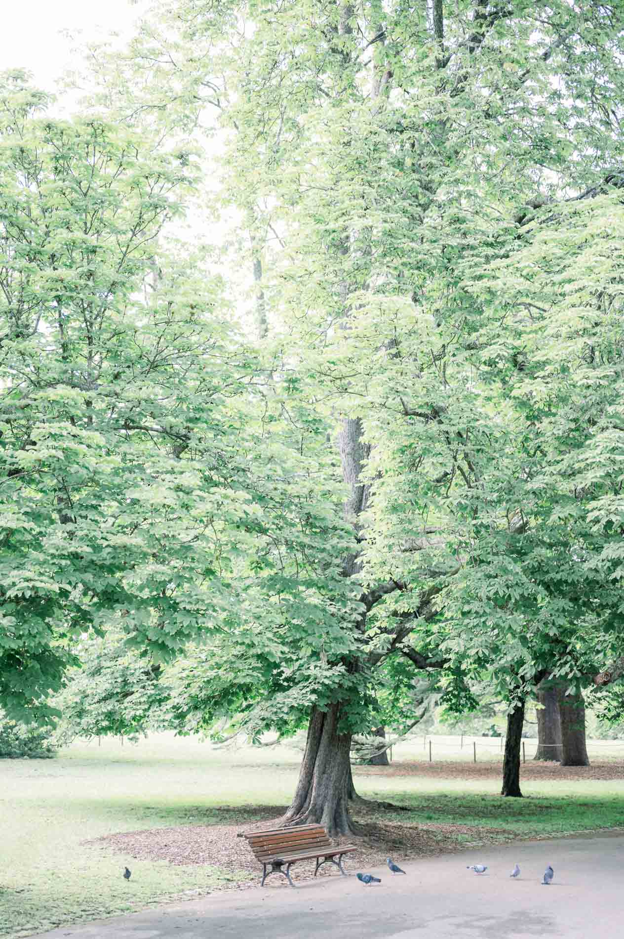 Parc Bordelais avec banc