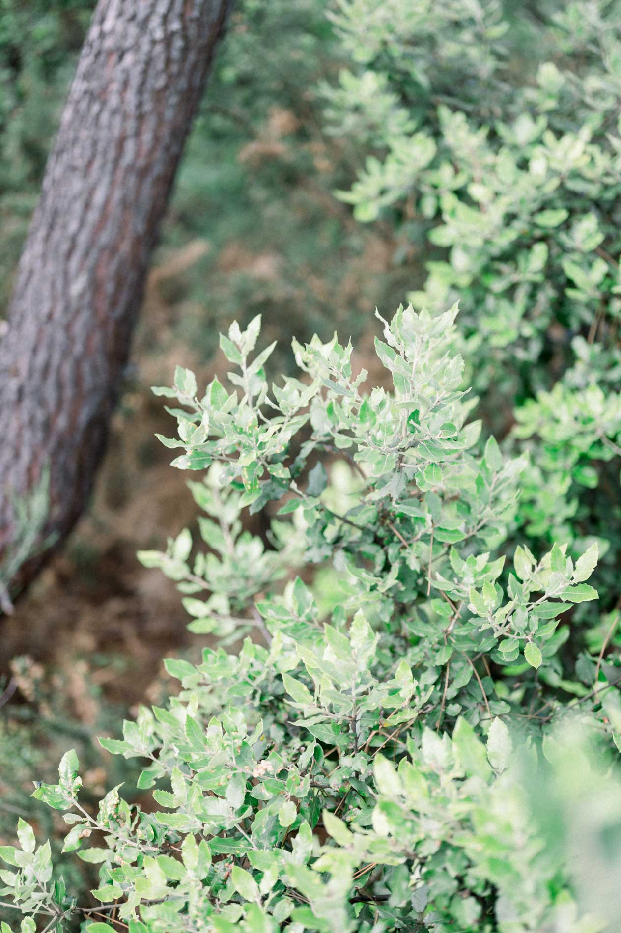 seance photo jardin botanique