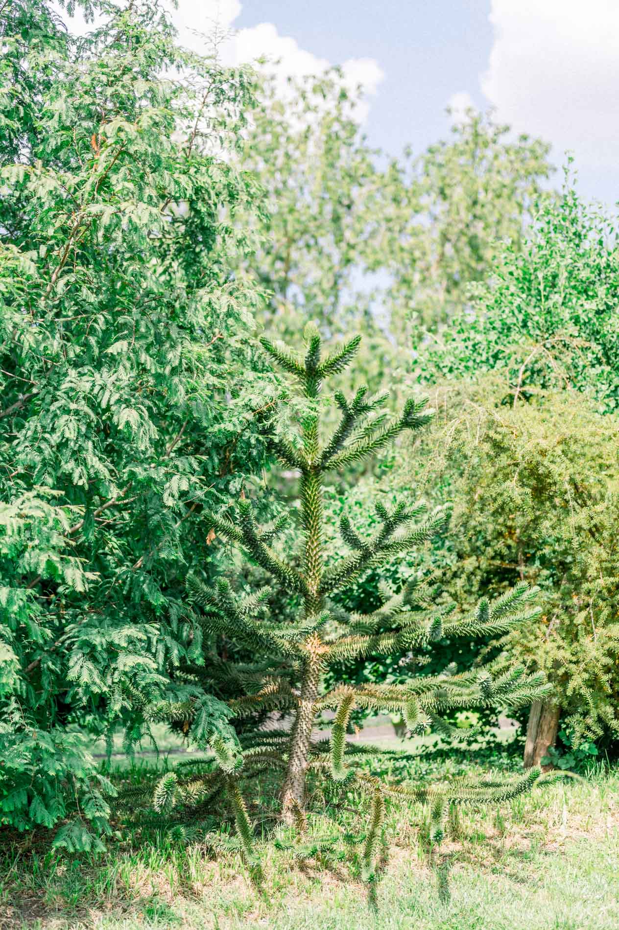 seance photo jardin botanique