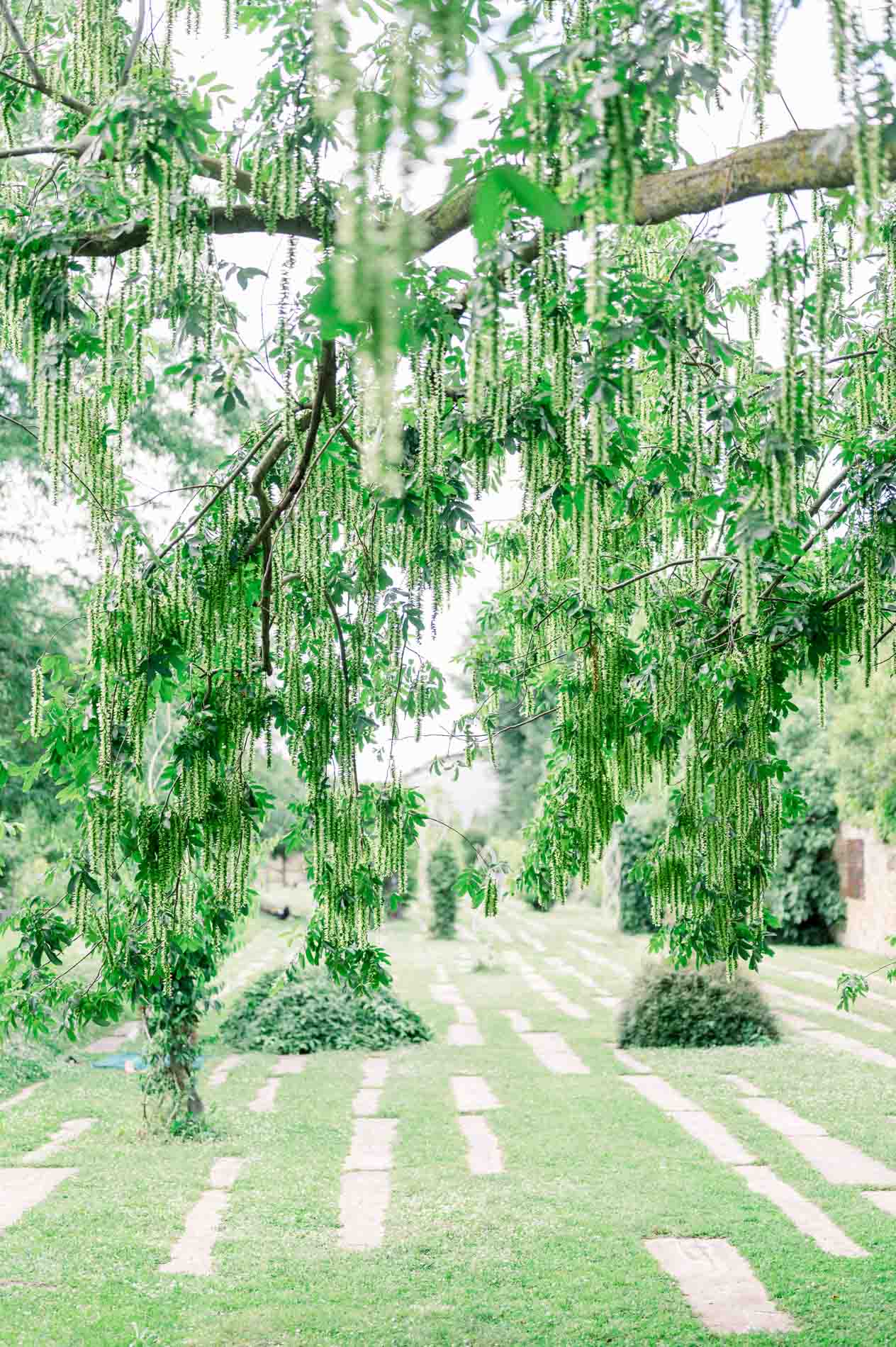 seance photo jardin botanique