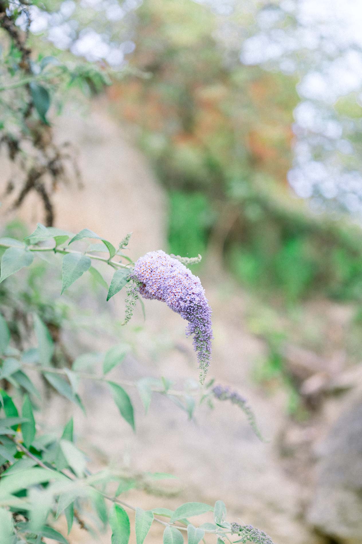 seance photo jardin botanique