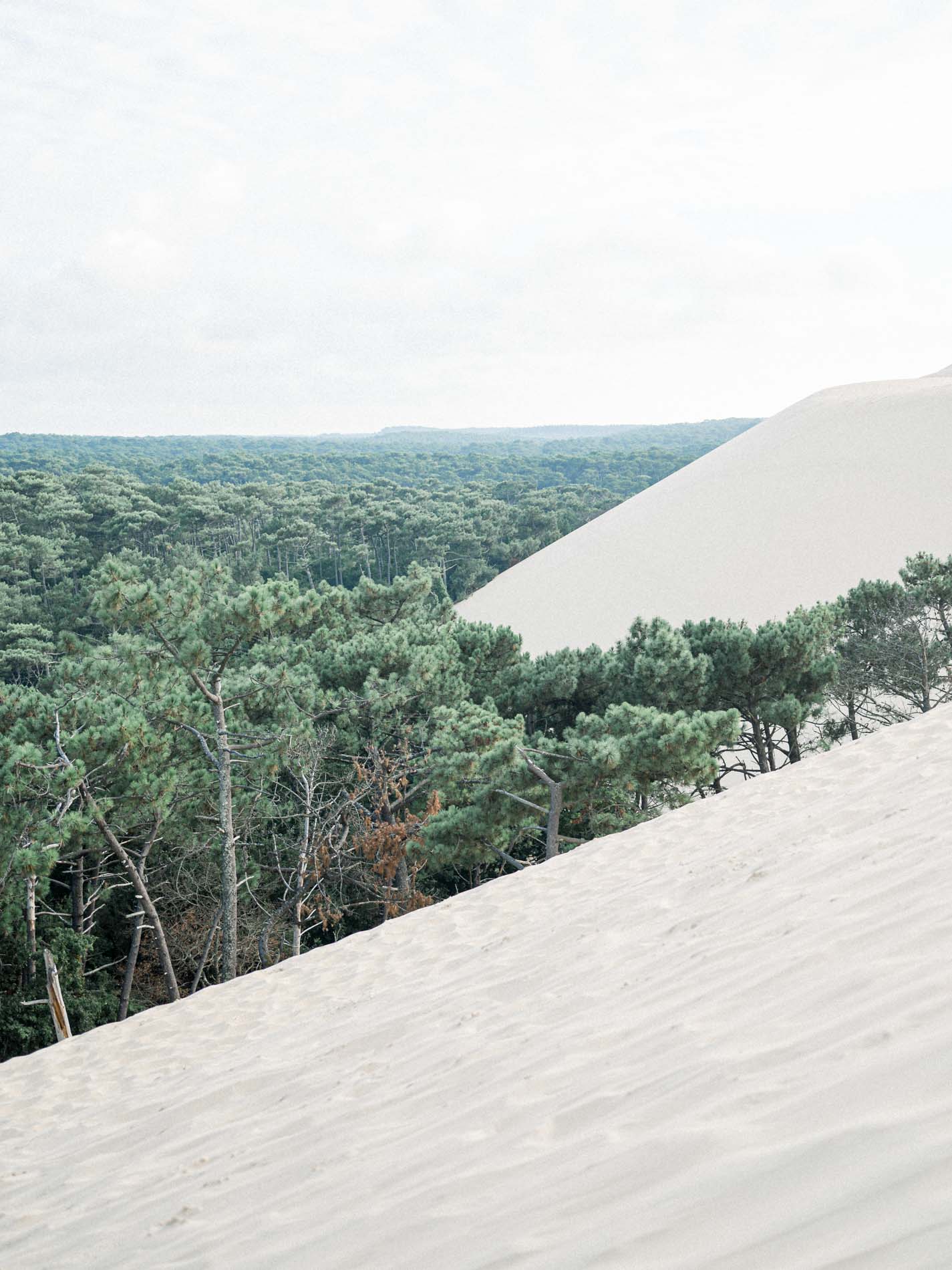 dune du pilat