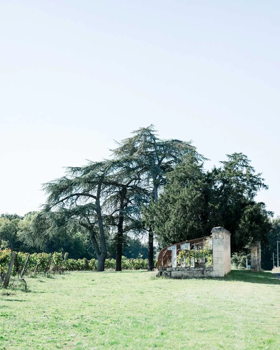 Château Courtade-Dubuc Mariage