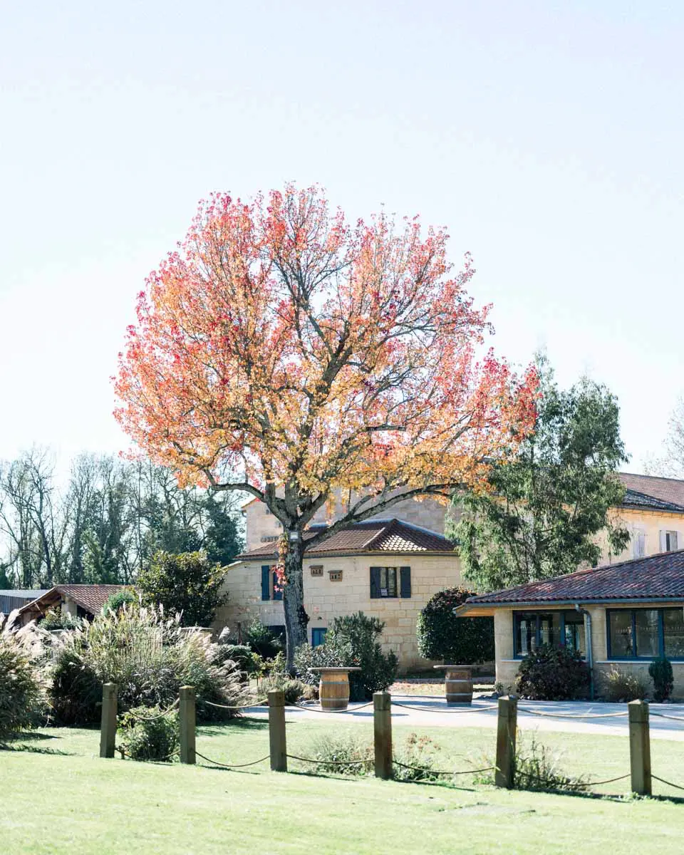 domaine de conseillant mariage