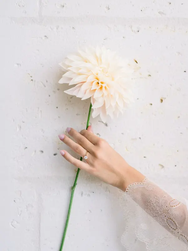 wedding photographer bordeaux prices